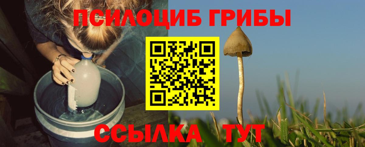 Псилоцибиновые грибы мухоморы Советский