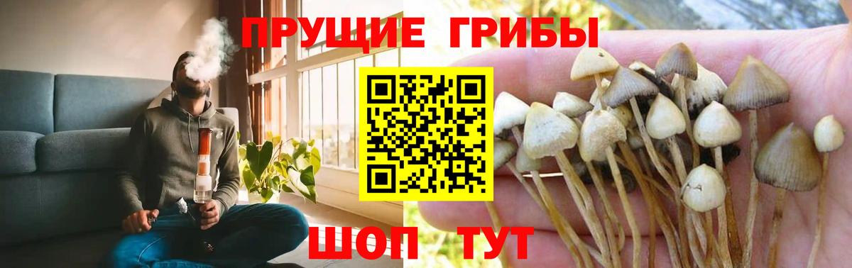 Советский  Галлюциногенные грибы MAGIC MUSHROOMS  Вход с VPN  Псилоцибиновые грибы ЛСД 